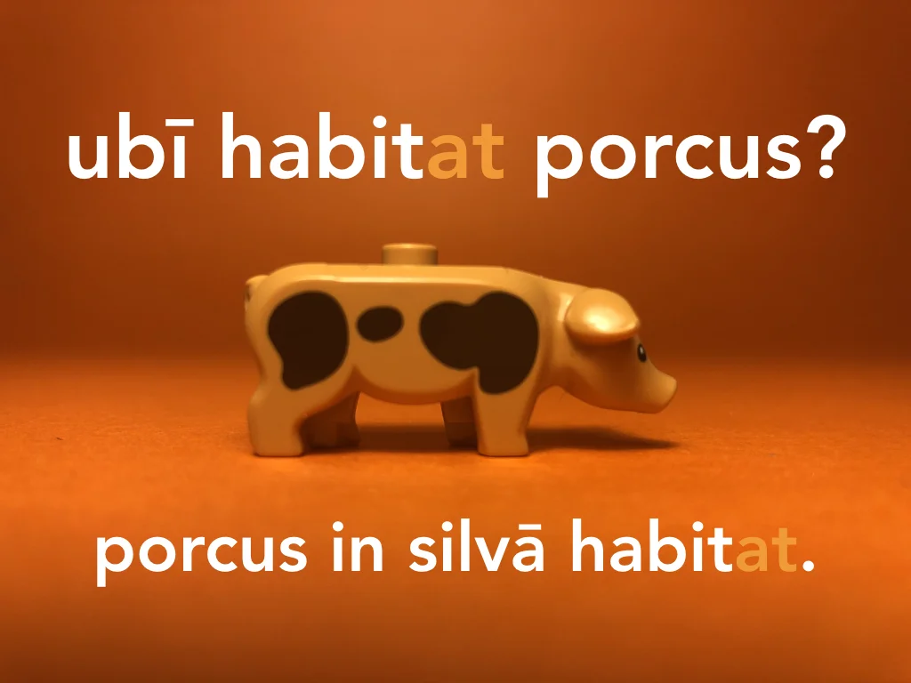 Disco Lesson 21 Remix.058.jpeg