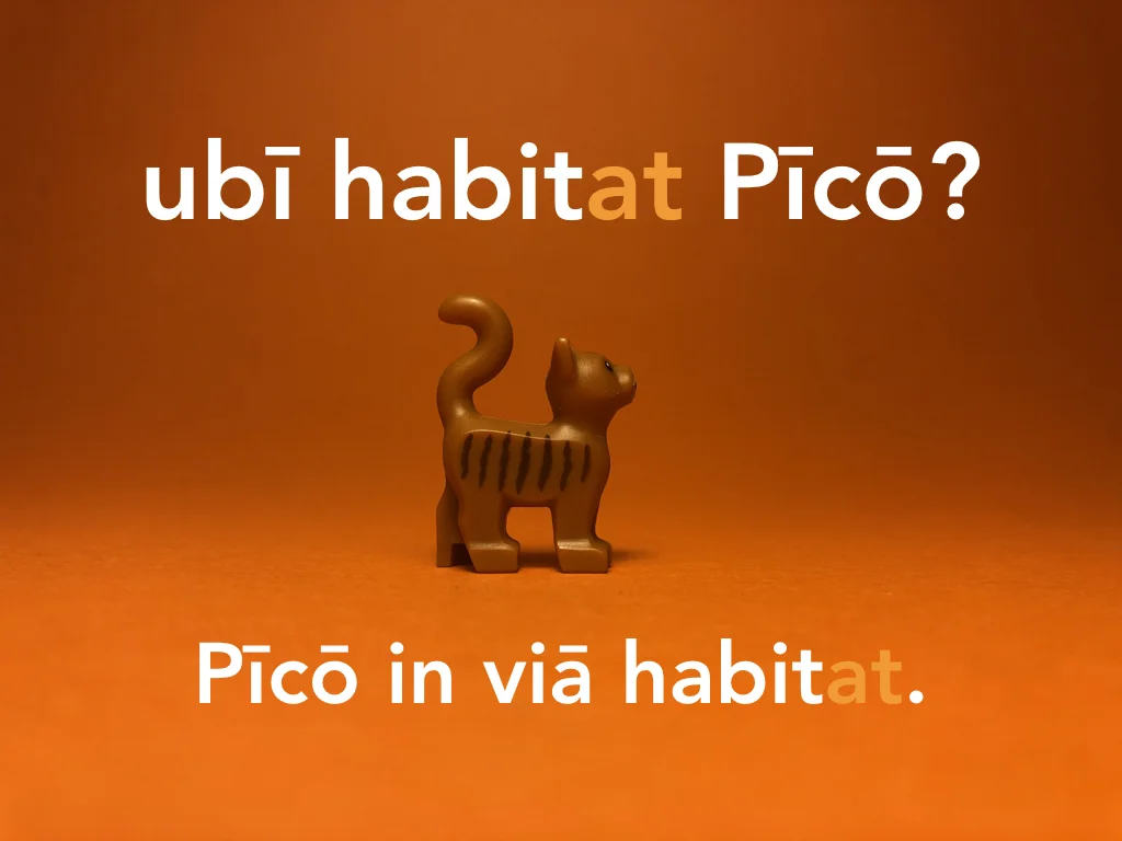 Disco Lesson 21 Remix.060.jpeg