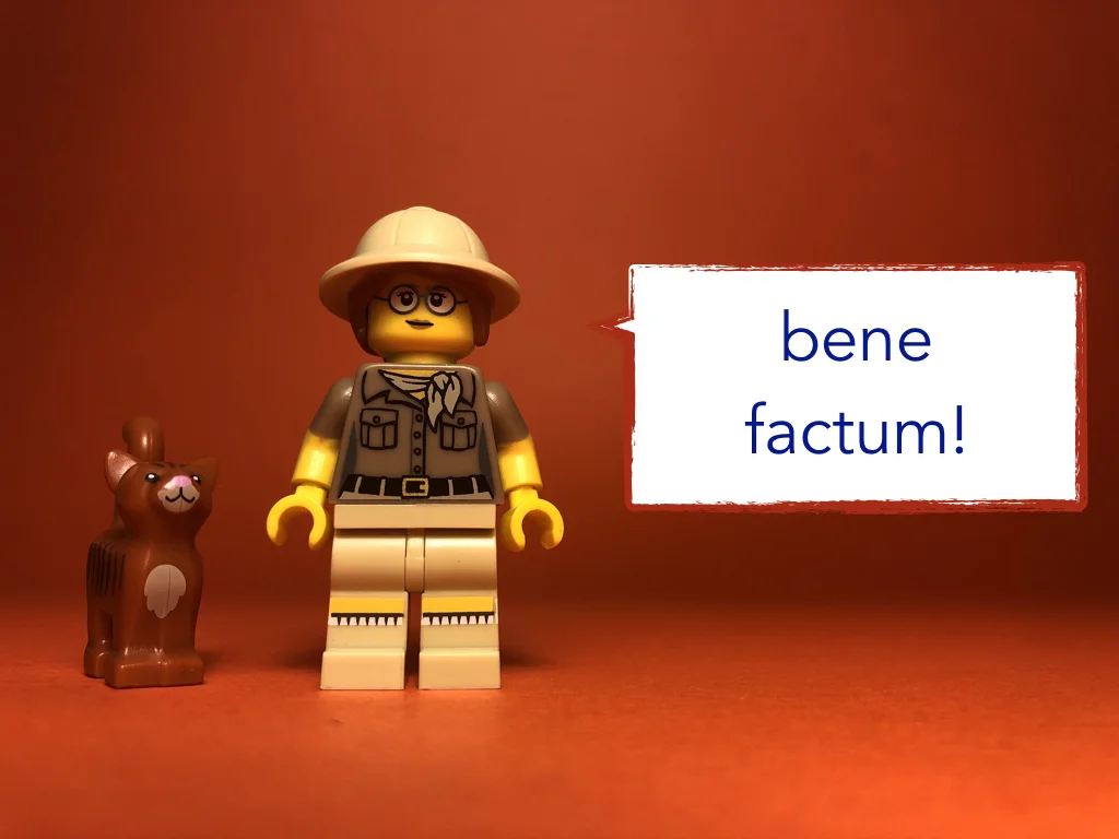 Disco Lesson 21 Remix.063.jpeg