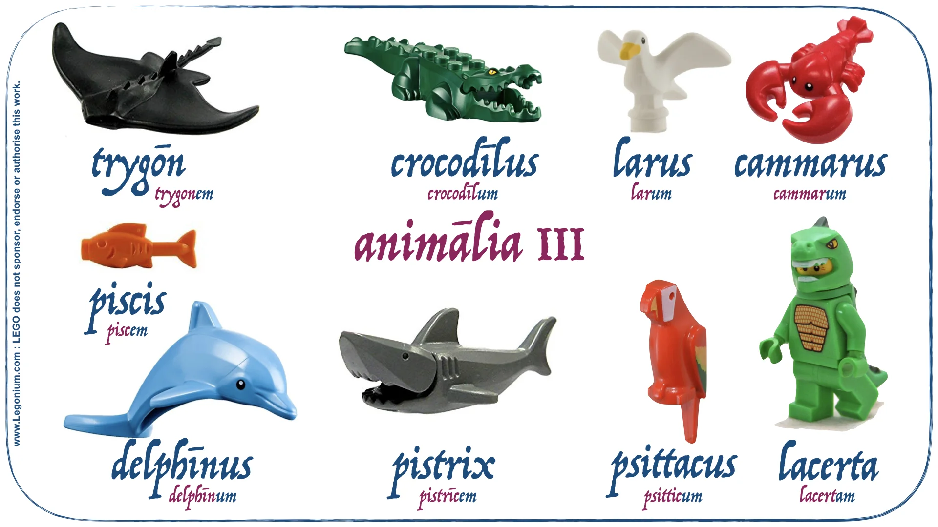 animalia.003.jpeg