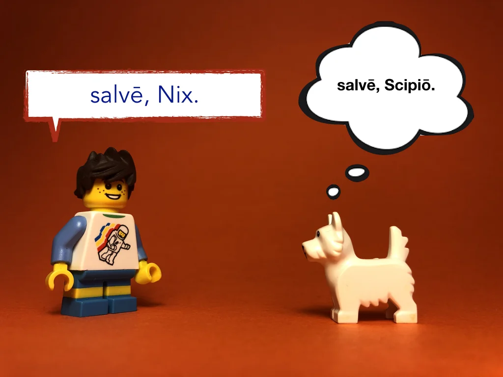 Disco Lesson 23 Remix.017.jpeg