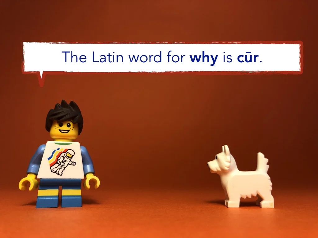 Disco Lesson 23 Remix.022.jpeg