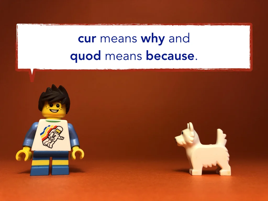 Disco Lesson 23 Remix.024.jpeg