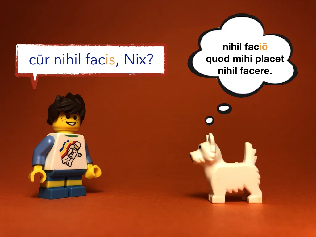 Disco Lesson 23 Remix.025.jpeg