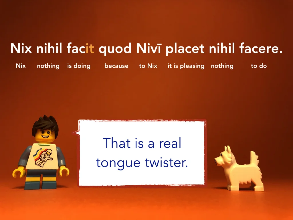 Disco Lesson 23 Remix.028.jpeg