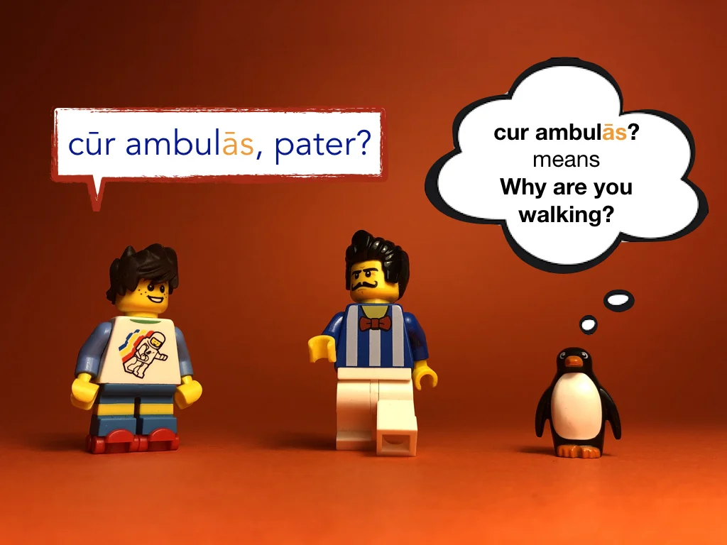 Disco Lesson 23 Remix.037.jpeg