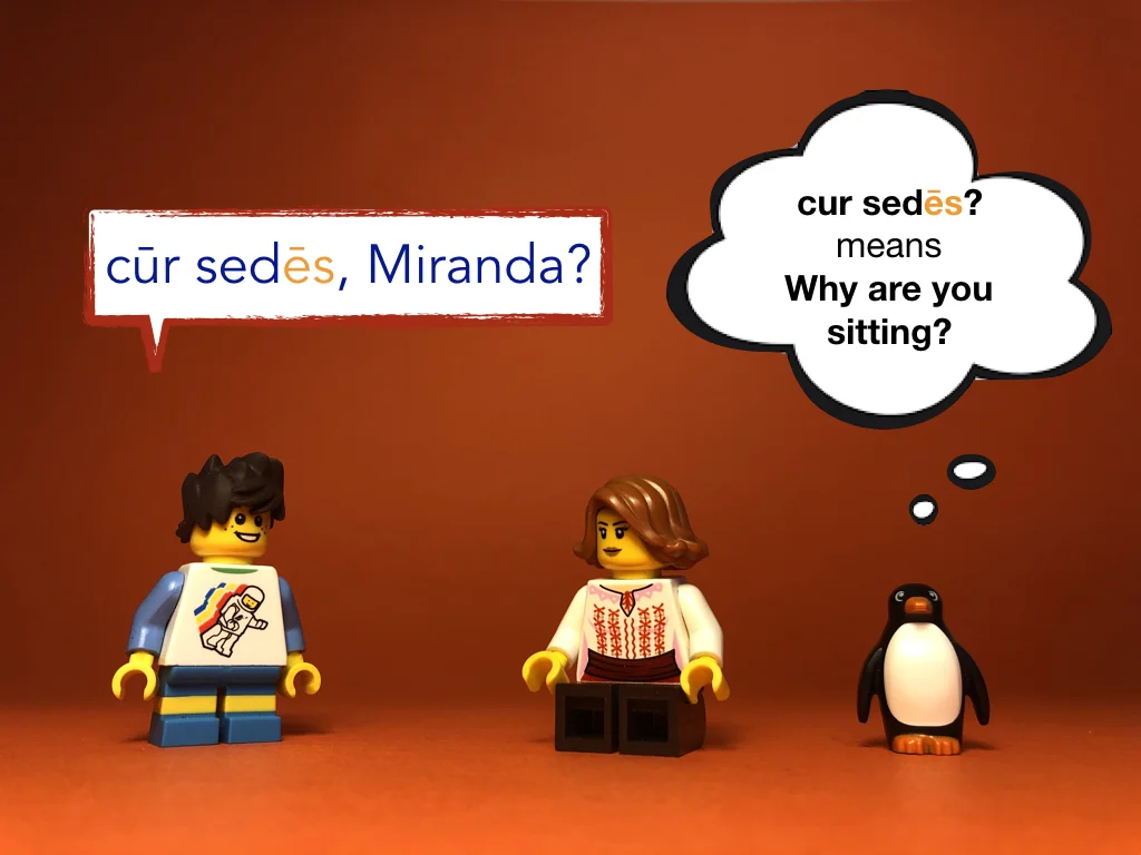 Disco Lesson 23 Remix.044.jpeg