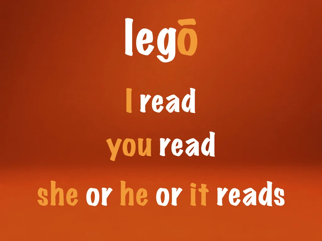 Disco Lesson 23 Remix.073.jpeg