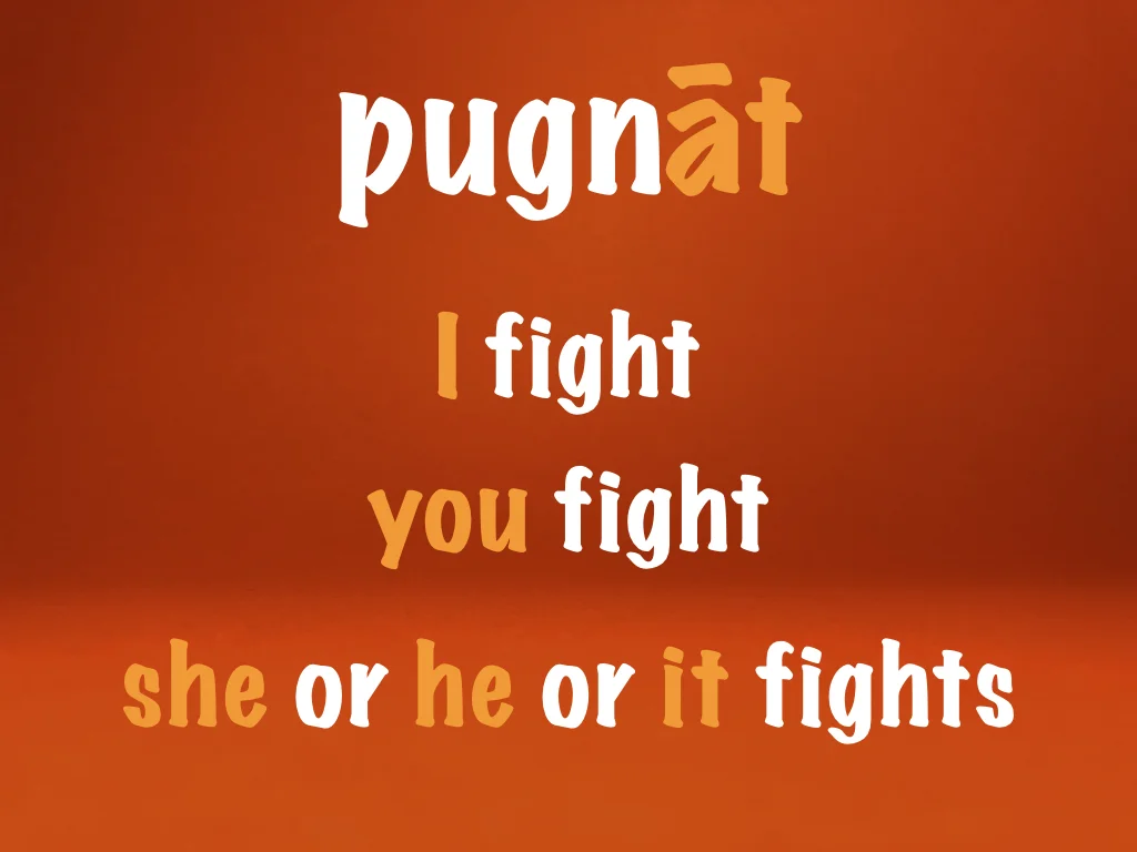 Disco Lesson 23 Remix.077.jpeg