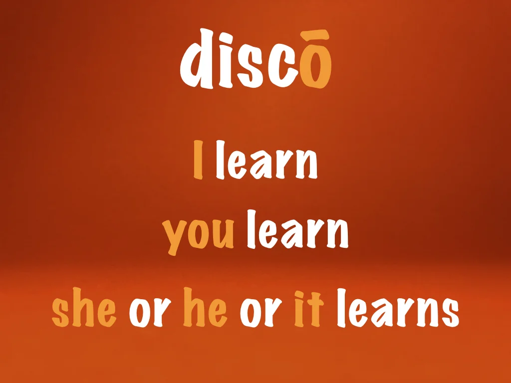 Disco Lesson 23 Remix.085.jpeg