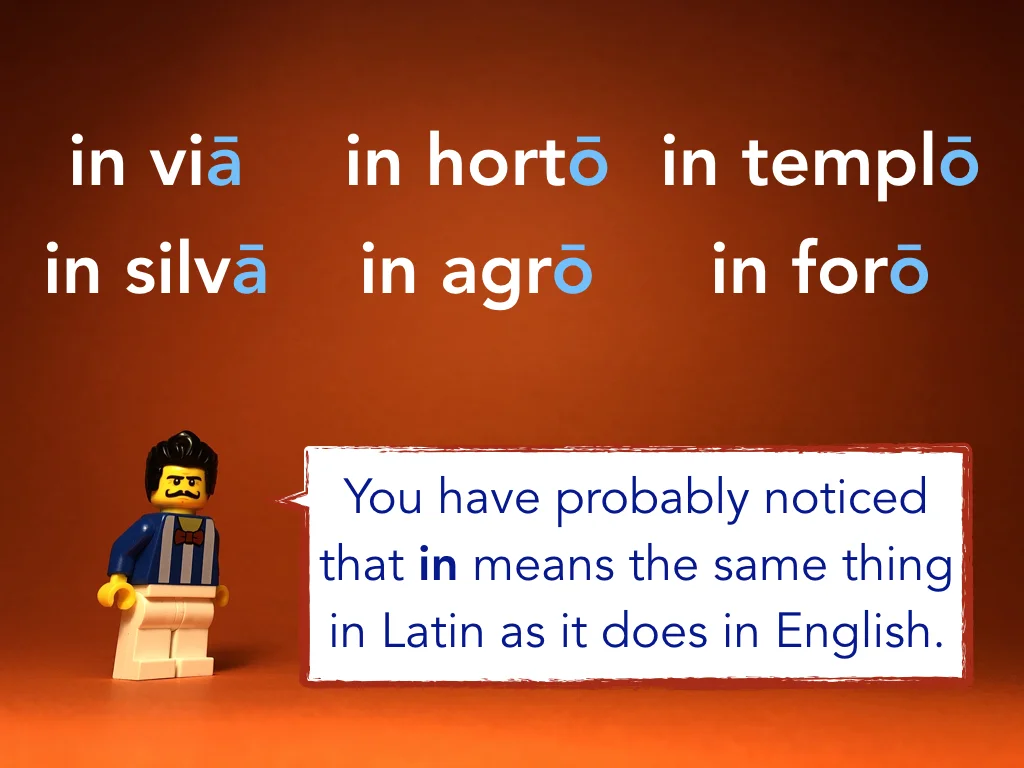 Disco Lesson 24 Remix.015.jpeg