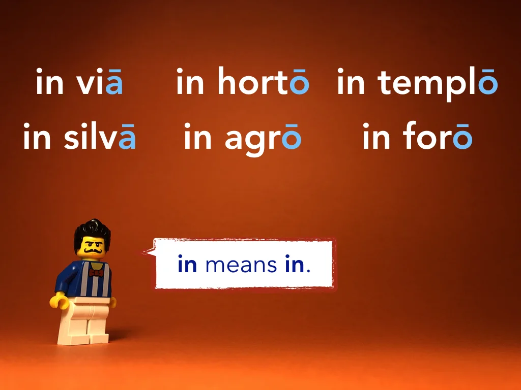 Disco Lesson 24 Remix.016.jpeg