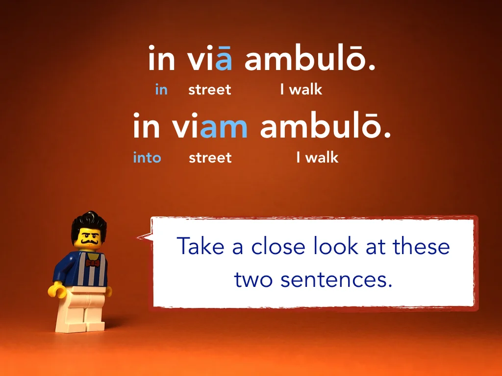 Disco Lesson 24 Remix.019.jpeg