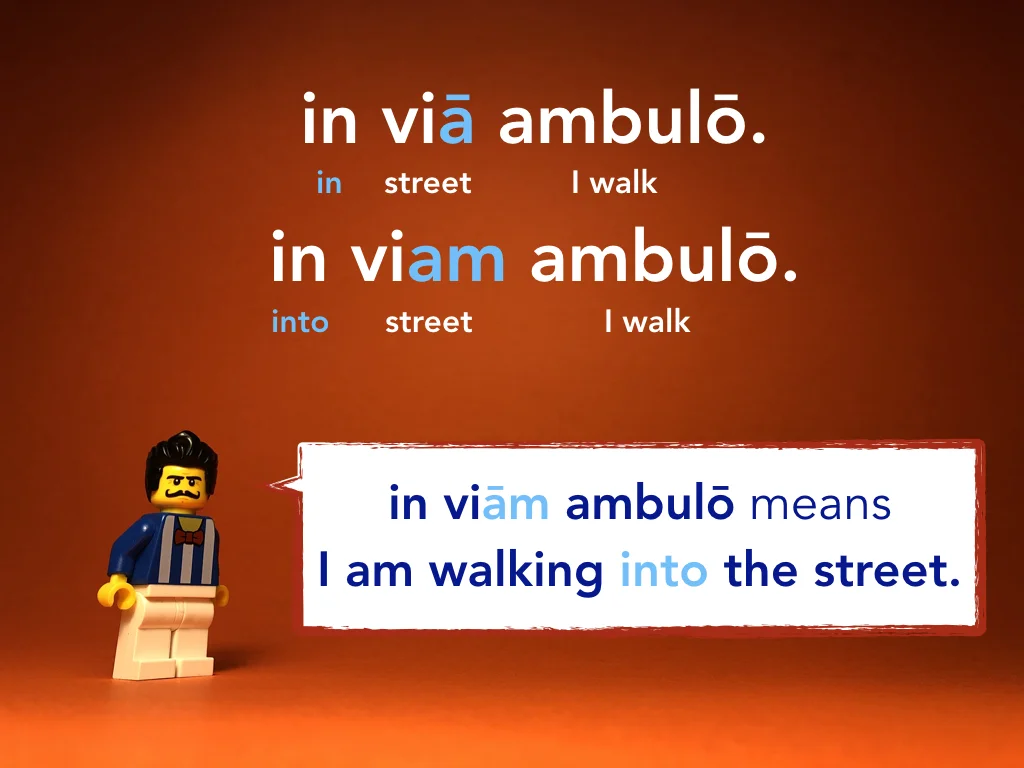 Disco Lesson 24 Remix.021.jpeg