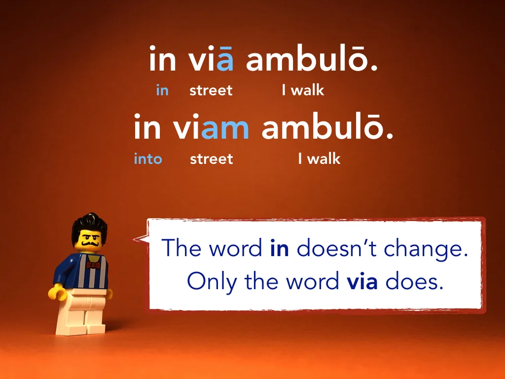 Disco Lesson 24 Remix.022.jpeg