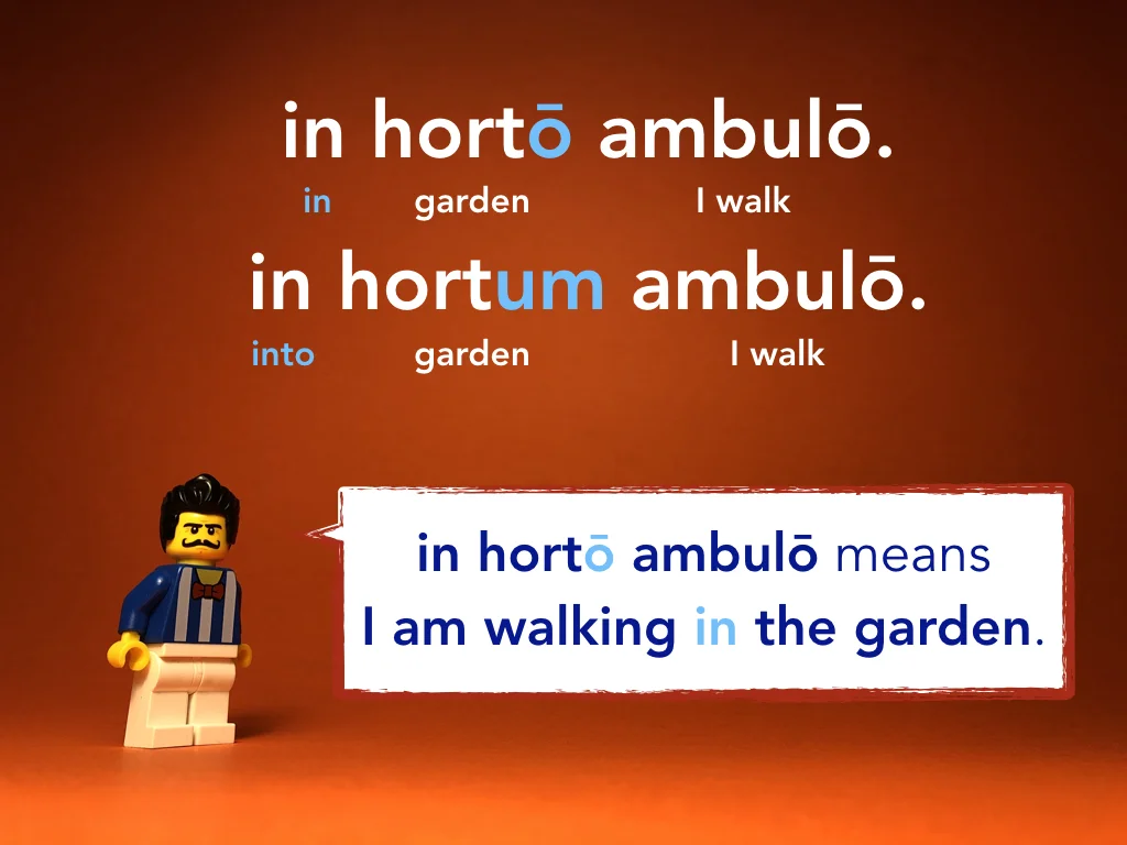 Disco Lesson 24 Remix.025.jpeg