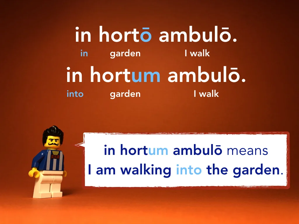 Disco Lesson 24 Remix.026.jpeg