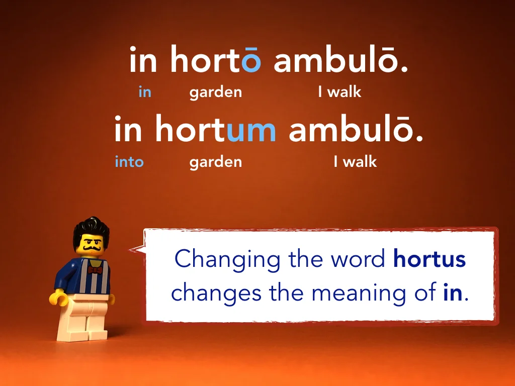 Disco Lesson 24 Remix.027.jpeg