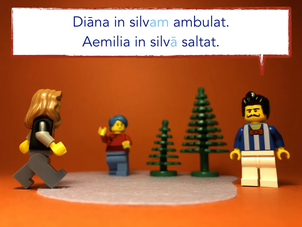 Disco Lesson 24 Remix.032.jpeg