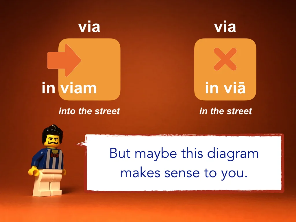 Disco Lesson 24 Remix.042.jpeg