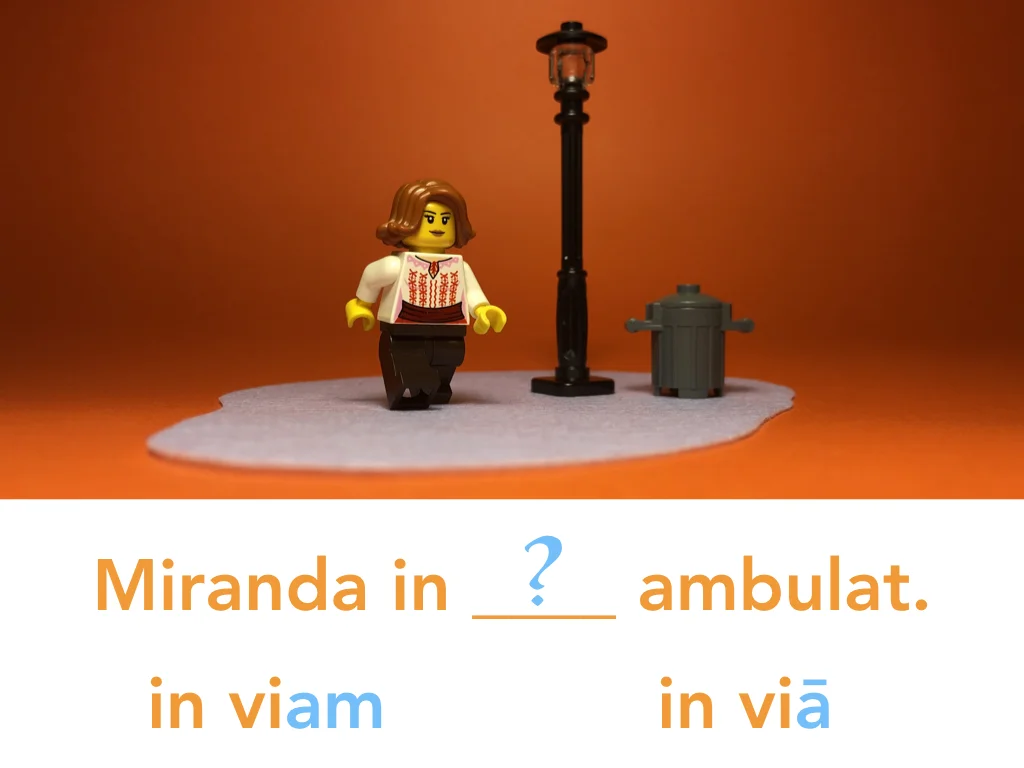 Disco Lesson 24 Remix.048.jpeg