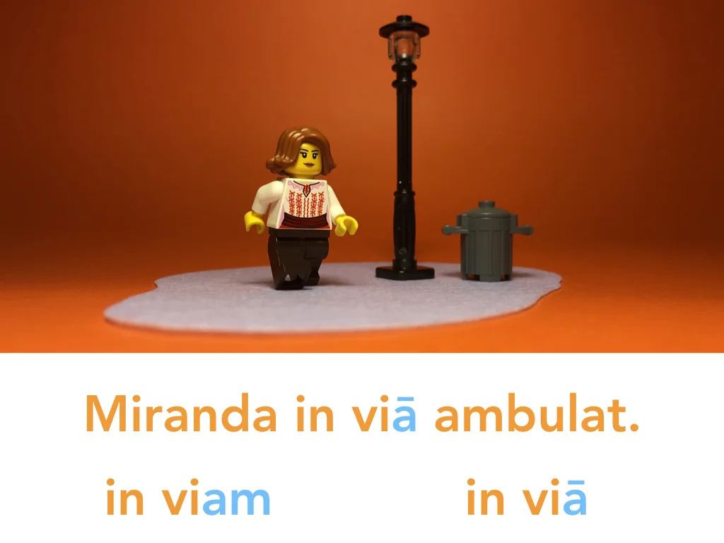 Disco Lesson 24 Remix.049.jpeg