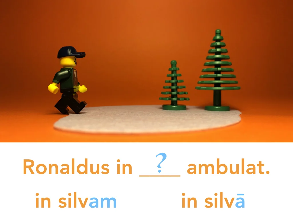 Disco Lesson 24 Remix.050.jpeg