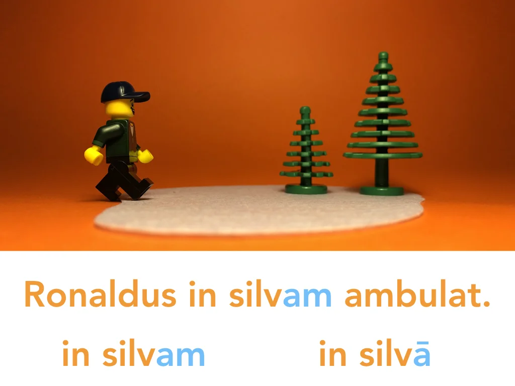 Disco Lesson 24 Remix.051.jpeg