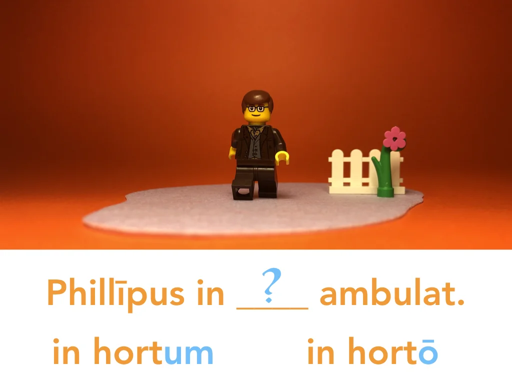 Disco Lesson 24 Remix.052.jpeg