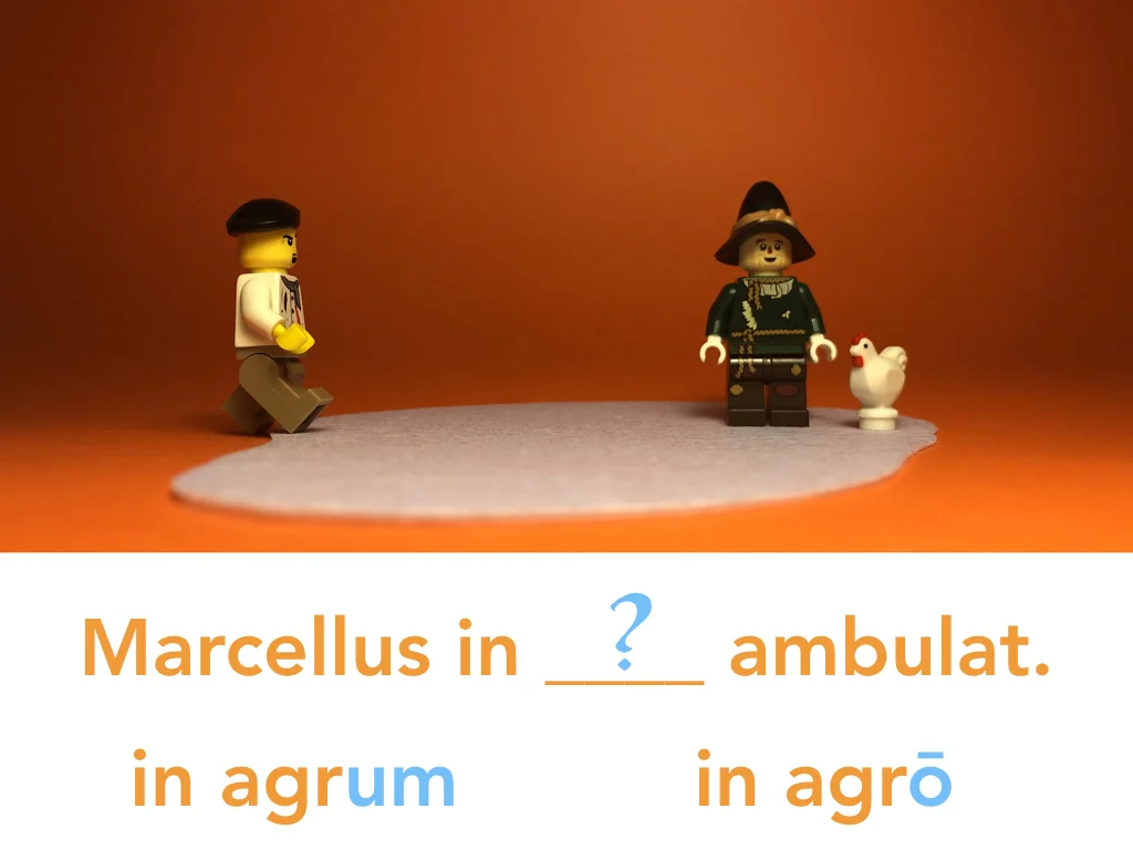 Disco Lesson 24 Remix.054.jpeg