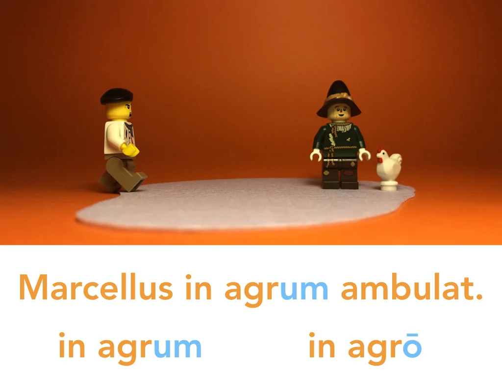 Disco Lesson 24 Remix.055.jpeg