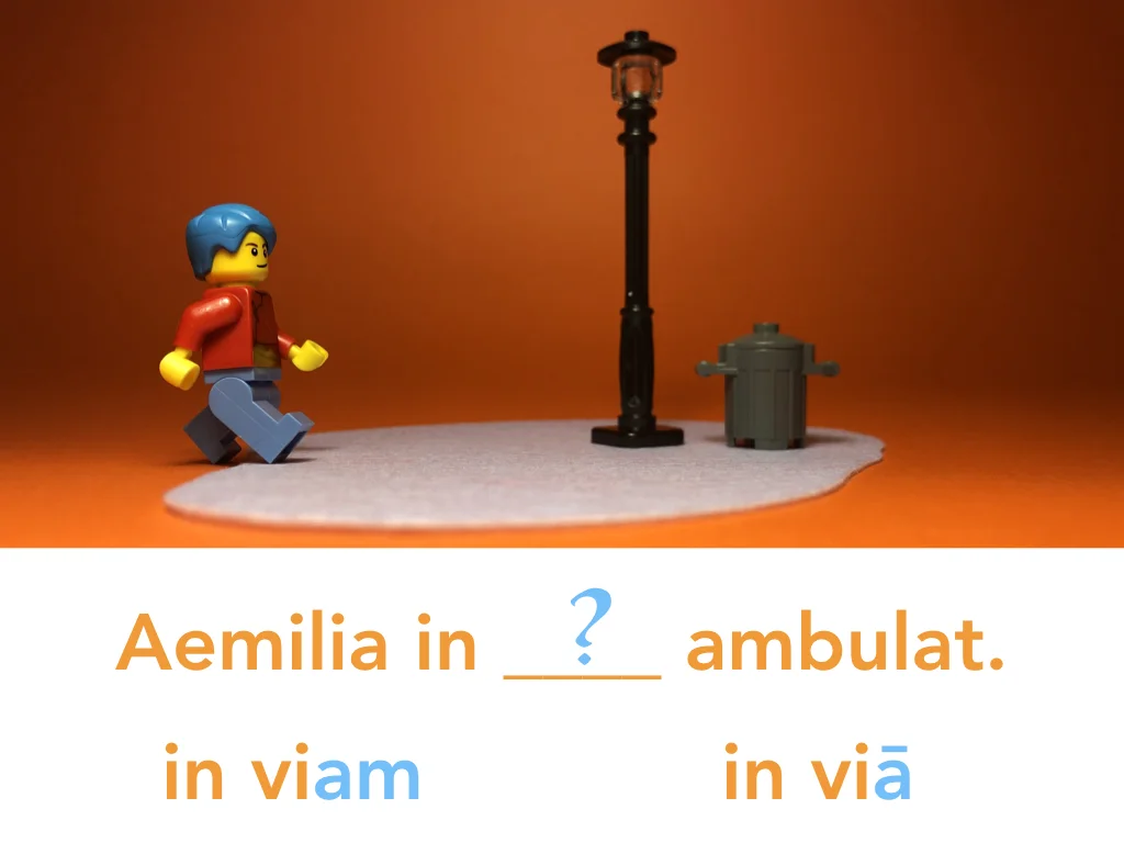 Disco Lesson 24 Remix.060.jpeg