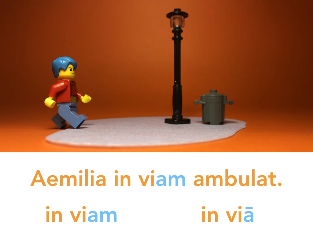 Disco Lesson 24 Remix.061.jpeg