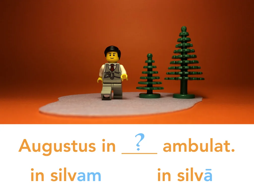 Disco Lesson 24 Remix.062.jpeg