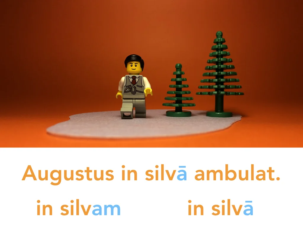 Disco Lesson 24 Remix.063.jpeg