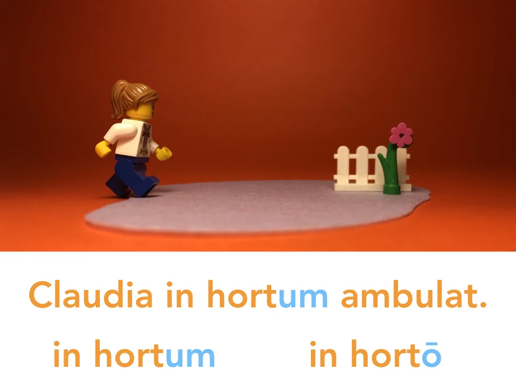 Disco Lesson 24 Remix.065.jpeg