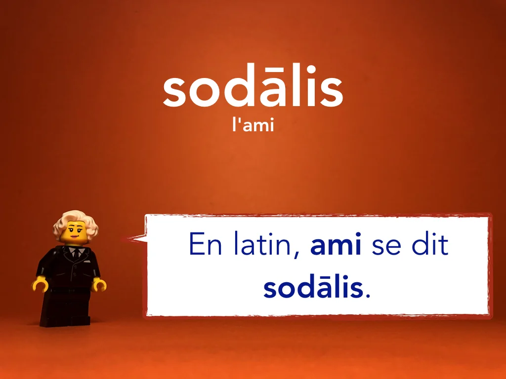 French Disco 1.011.jpeg