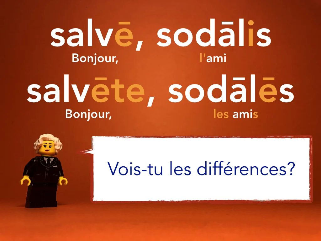 French Disco 1.022.jpeg