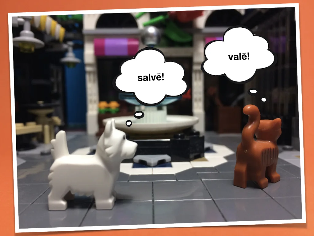 French Disco 1.037.jpeg