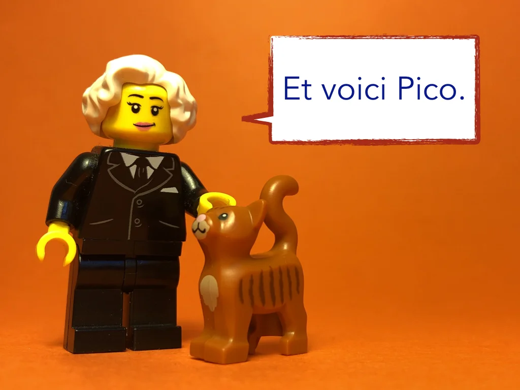 French Disco 0.004.jpeg