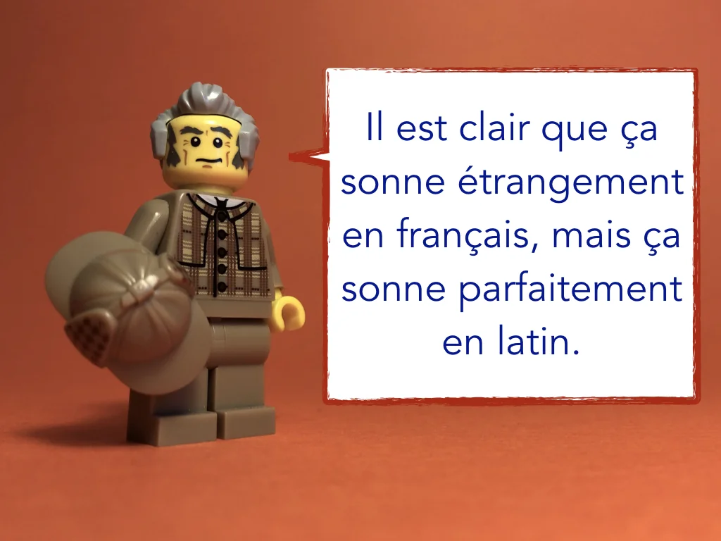 French Disco 2.019.jpeg