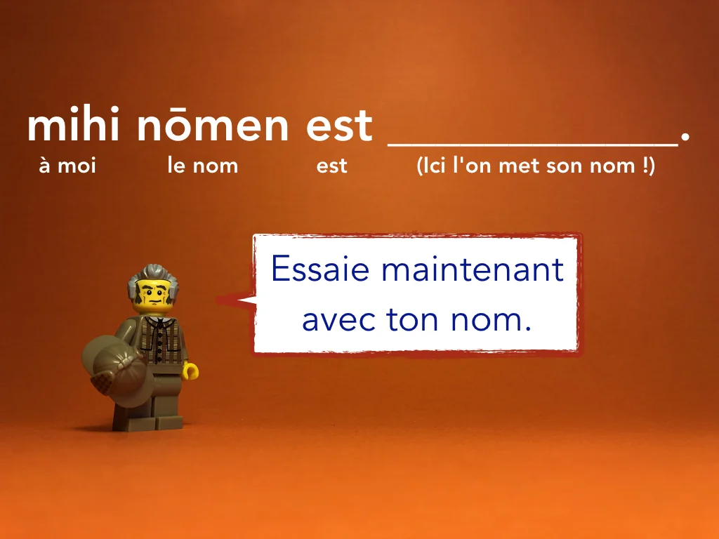 French Disco 2.021.jpeg