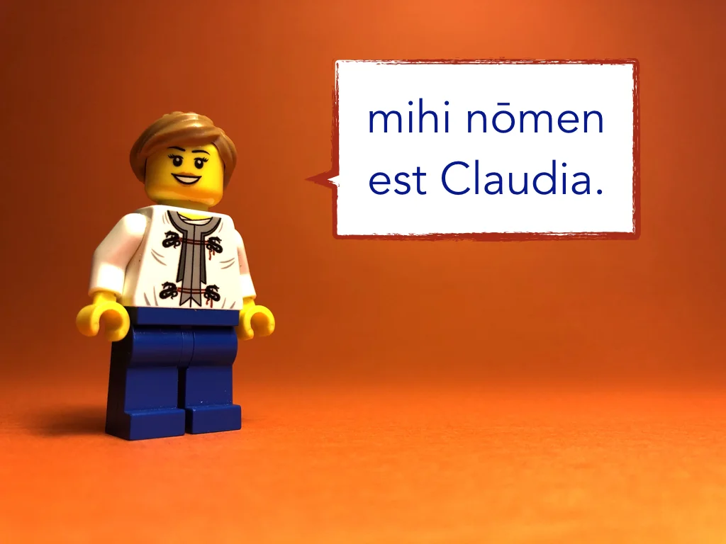 French Disco 2.040.jpeg