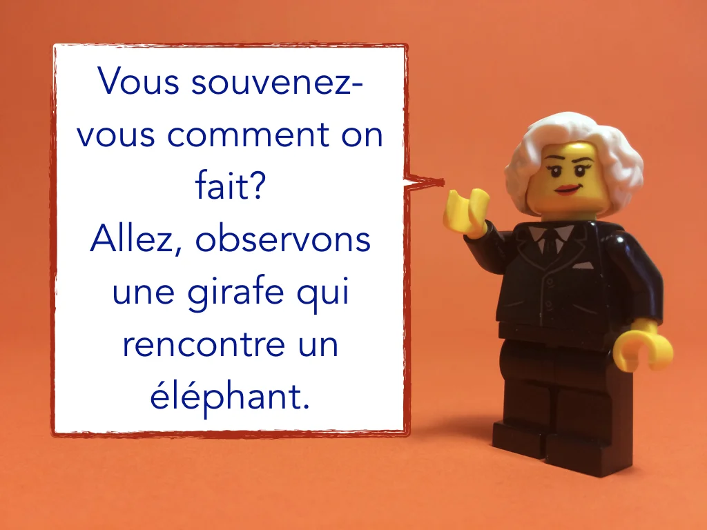 French Disco 3.007.jpeg