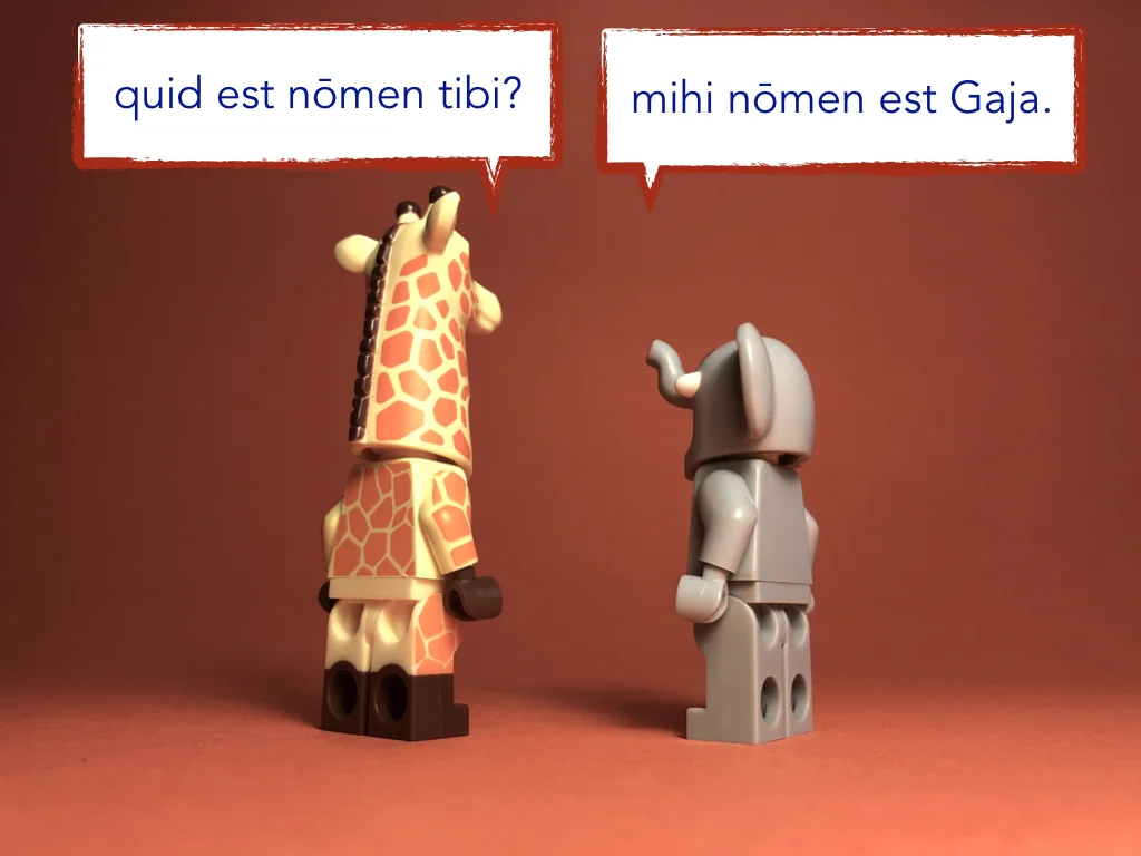 French Disco 3.011.jpeg