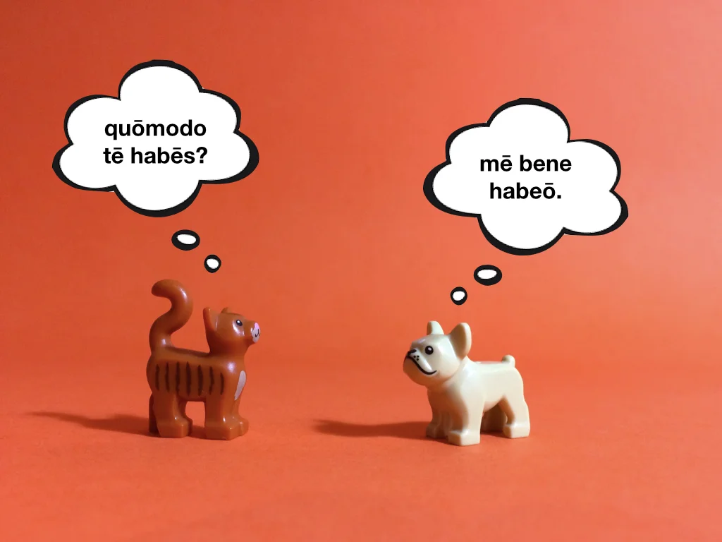 French Disco 3.022.jpeg