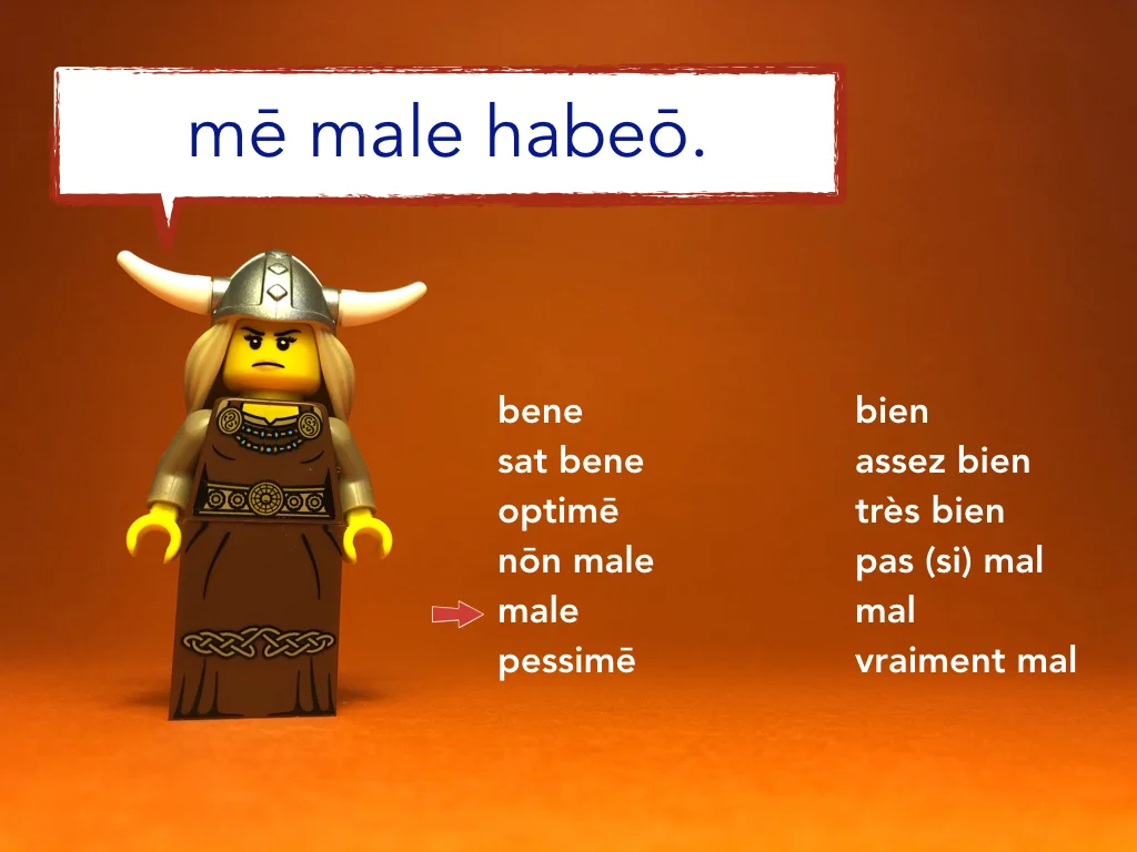 French Disco 3.030.jpeg