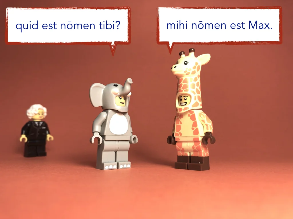 French Disco 3.036.jpeg