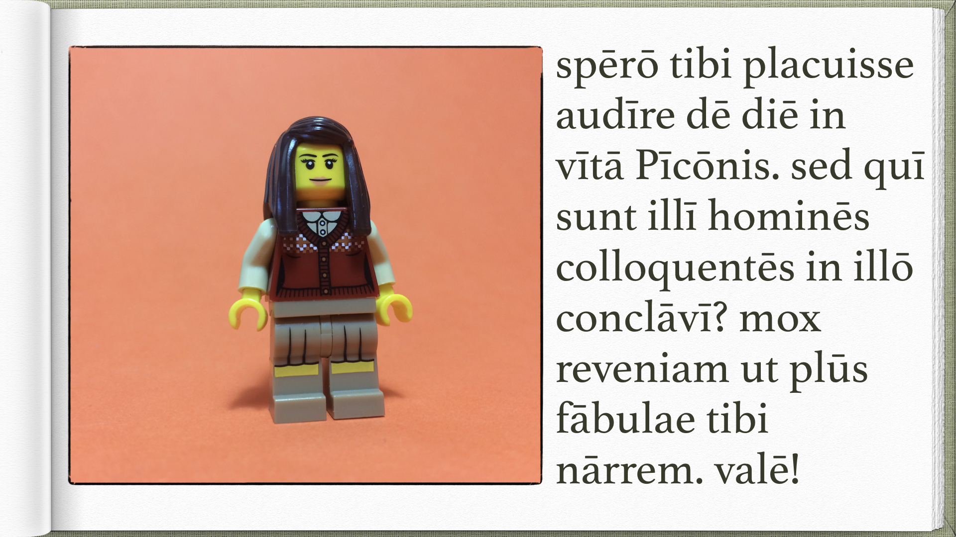 Legonium 3 post librum.026.jpeg