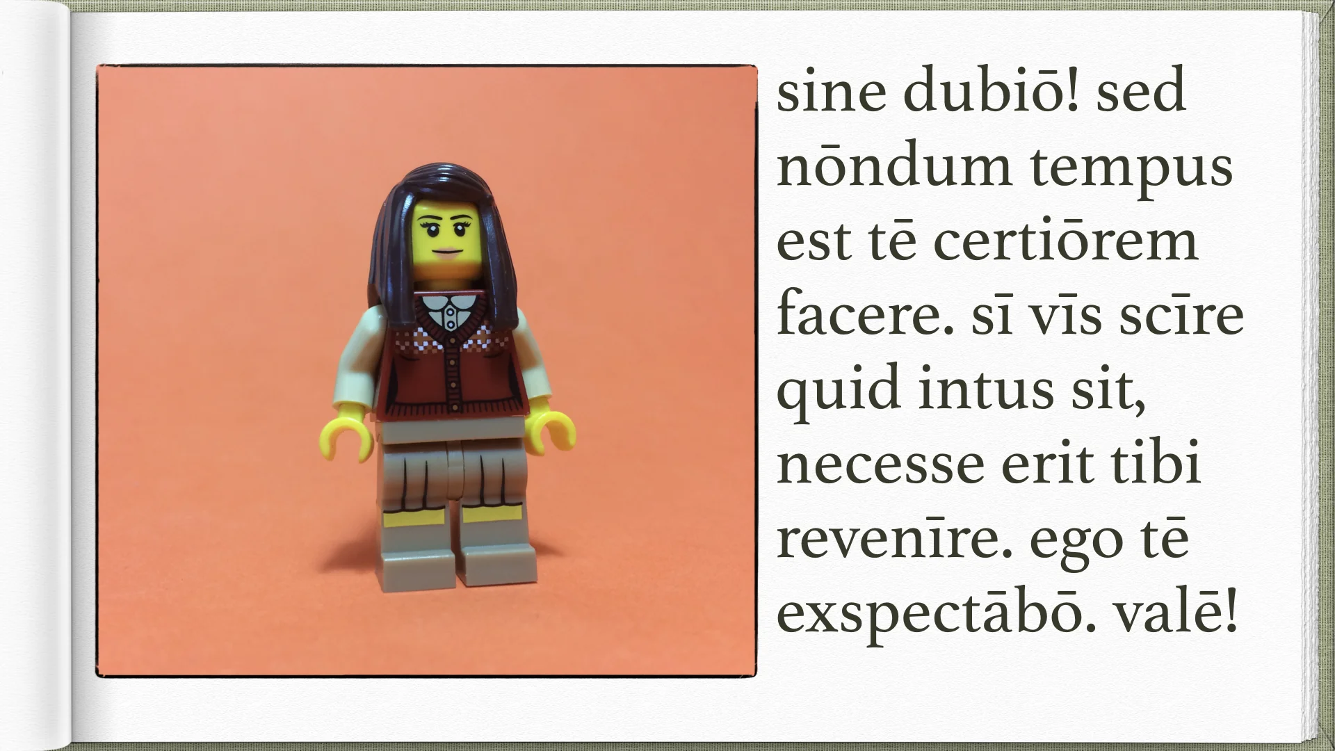 Legonium 4 post librum.025.jpeg